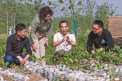 科技服務到田頭 技術轉讓助力農業(yè)現(xiàn)代化
